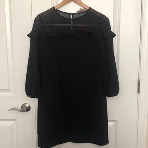Size 12 Petite LBD From LOFT